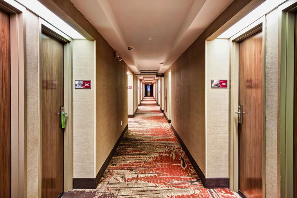 Hampton Inn Starkville Nội địa bức ảnh